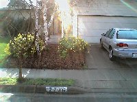 Sunburst on the front door